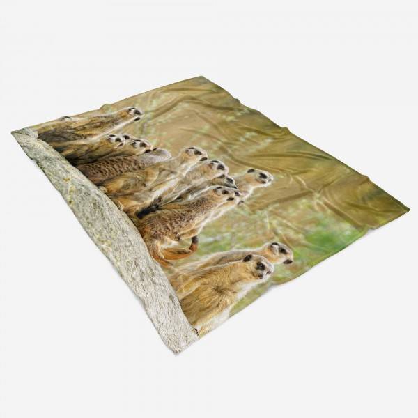 ﻿Paul Sinus Art Handtuch Strandhandtuch Saunatuch Kuscheldecke mit Tiermotiv Erdmännchen Famili Blitzangebot