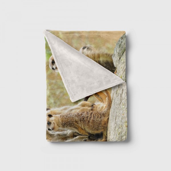 ﻿Paul Sinus Art Handtuch Strandhandtuch Saunatuch Kuscheldecke mit Tiermotiv Erdmännchen Famili Blitzangebot