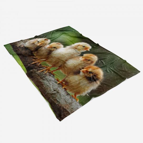 Paul Sinus Art Handtuch Strandhandtuch Saunatuch Kuscheldecke mit Tiermotiv Süße Küken beste F Saisonale Angebote
