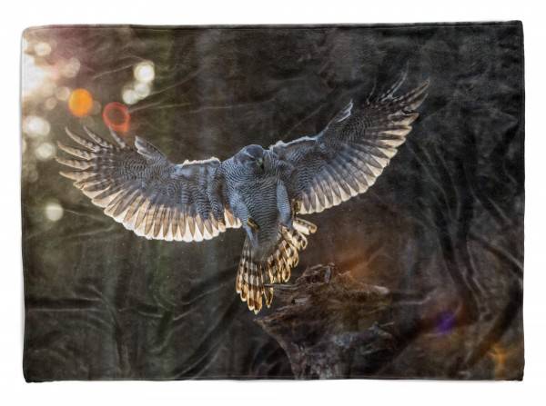Paul Sinus Art Handtuch Strandhandtuch Saunatuch Kuscheldecke mit Tiermotiv Falke majestätisch