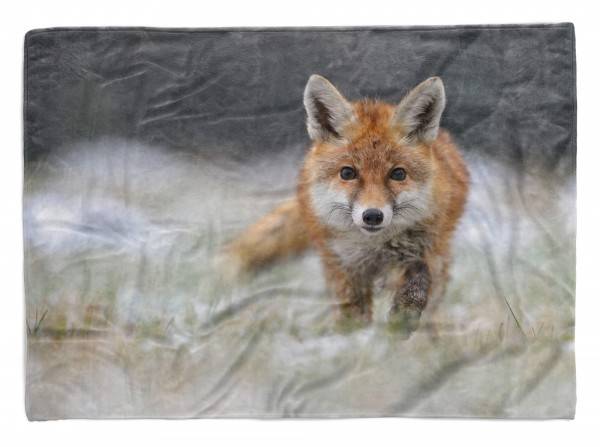 Paul Sinus Art Handtuch Strandhandtuch Saunatuch Kuscheldecke mit Tiermotiv kleiner Fuchs