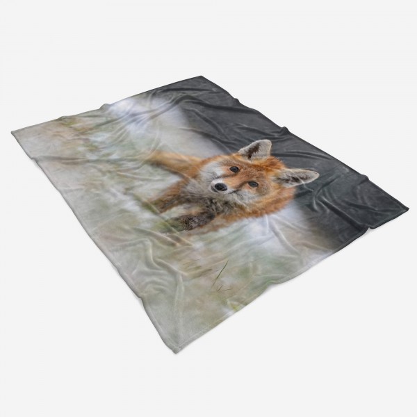 Paul Sinus Art Handtuch Strandhandtuch Saunatuch Kuscheldecke mit Tiermotiv kleiner Fuchs VIP-Rabatte
