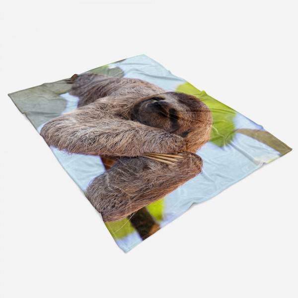 Paul Sinus Art Handtuch Strandhandtuch Saunatuch Kuscheldecke mit Tiermotiv Faultier hält Schl Super Sparpreis