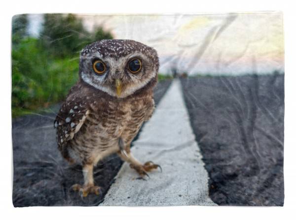 Paul Sinus Art Handtuch Strandhandtuch Saunatuch Kuscheldecke mit Tiermotiv kleine Eule am Str