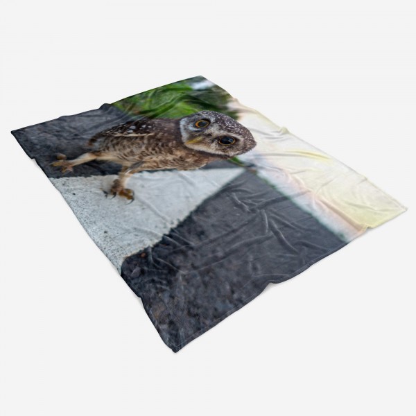 Paul Sinus Art Handtuch Strandhandtuch Saunatuch Kuscheldecke mit Tiermotiv kleine Eule am Str Wochenangebot