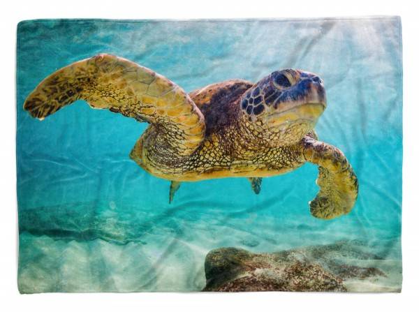 Paul Sinus Art Handtuch Strandhandtuch Saunatuch Kuscheldecke mit Tiermotiv Seeschildkröte unt