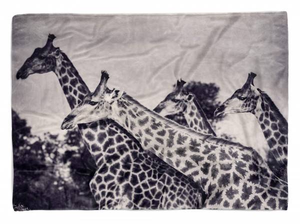 Paul Sinus Art Handtuch Strandhandtuch Saunatuch Kuscheldecke mit Tiermotiv Giraffen Schwarz W