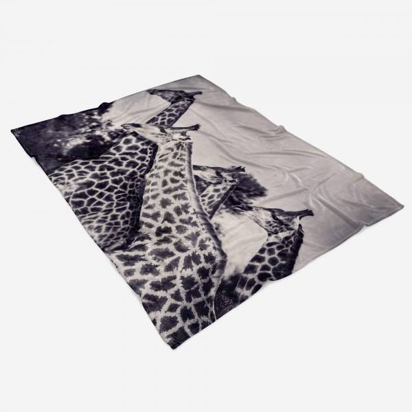 Paul Sinus Art Handtuch Strandhandtuch Saunatuch Kuscheldecke mit Tiermotiv Giraffen Schwarz W Bis zu 50% Rabatt