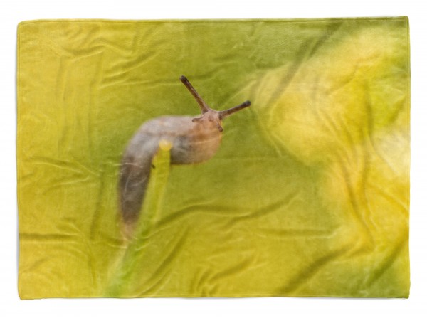 Paul Sinus Art Handtuch Strandhandtuch Saunatuch Kuscheldecke mit Tiermotiv kleine Schnecke