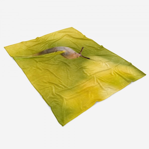Paul Sinus Art Handtuch Strandhandtuch Saunatuch Kuscheldecke mit Tiermotiv kleine Schnecke Bis zu 60% Rabatt