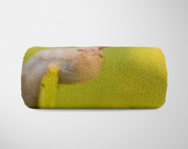 Paul Sinus Art Handtuch Strandhandtuch Saunatuch Kuscheldecke mit Tiermotiv kleine Schnecke Bis zu 60% Rabatt