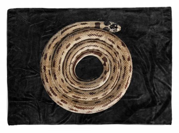 Paul Sinus Art Handtuch Strandhandtuch Saunatuch Kuscheldecke mit Tiermotiv Schlange liegt kre
