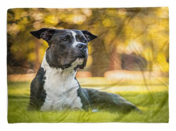 Paul Sinus Art Handtuch Strandhandtuch Saunatuch Kuscheldecke mit Tiermotiv American Pit Bull