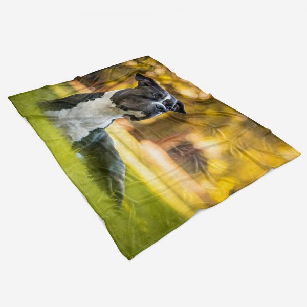 Paul Sinus Art Handtuch Strandhandtuch Saunatuch Kuscheldecke mit Tiermotiv American Pit Bull Vierteljährliche Förderung