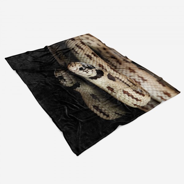 Paul Sinus Art Handtuch Strandhandtuch Saunatuch Kuscheldecke mit Tiermotiv schöne Schlange Bis zu 55% Rabatt