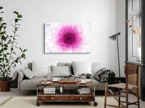 Paul Sinus Art 120x80cm Wandbild auf Leinwand Fotokunst Makrofotografie Rosa Blume Blüte Großer Ausverkauf
