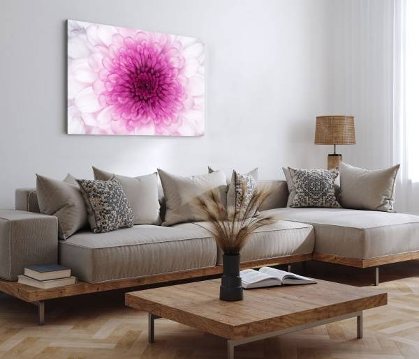 Paul Sinus Art 120x80cm Wandbild auf Leinwand Fotokunst Makrofotografie Rosa Blume Blüte Großer Ausverkauf