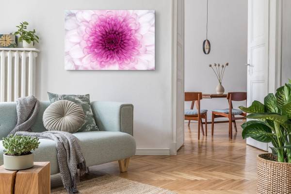 Paul Sinus Art 120x80cm Wandbild auf Leinwand Fotokunst Makrofotografie Rosa Blume Blüte Großer Ausverkauf