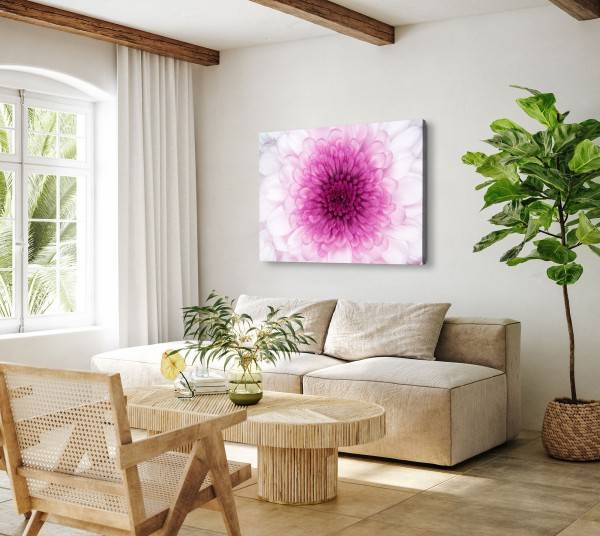 Paul Sinus Art 120x80cm Wandbild auf Leinwand Fotokunst Makrofotografie Rosa Blume Blüte Großer Ausverkauf