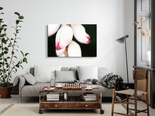 Paul Sinus Art 120x80cm Wandbild auf Leinwand Blumenknospen weiße Blüten schwarzer Hintergrund Fotokunst Flash Sale