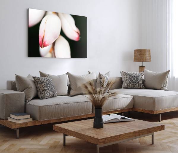 Paul Sinus Art 120x80cm Wandbild auf Leinwand Blumenknospen weiße Blüten schwarzer Hintergrund Fotokunst Flash Sale