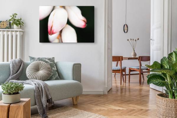 Paul Sinus Art 120x80cm Wandbild auf Leinwand Blumenknospen weiße Blüten schwarzer Hintergrund Fotokunst Flash Sale