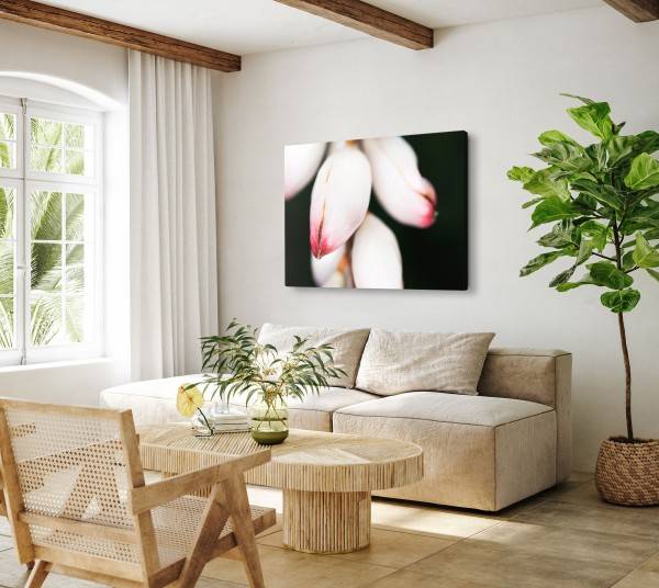 Paul Sinus Art 120x80cm Wandbild auf Leinwand Blumenknospen weiße Blüten schwarzer Hintergrund Fotokunst Flash Sale