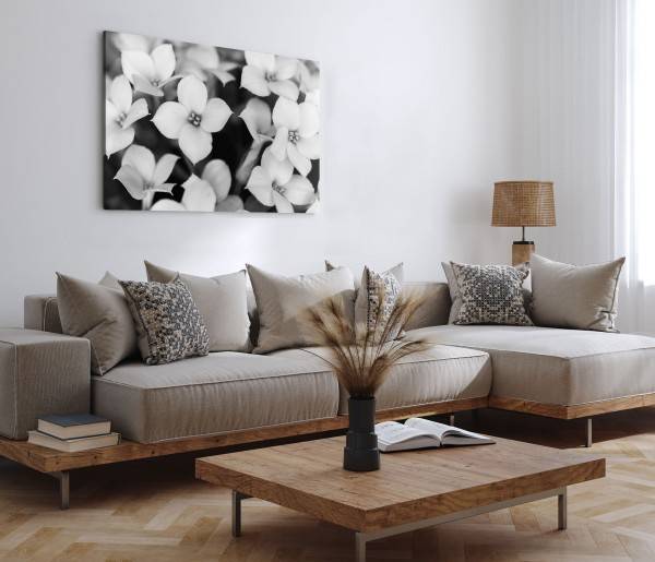 Paul Sinus Art 120x80cm Wandbild auf Leinwand Schwarz Weiß Fotografie Blumen weiße Blüten Begrenztes Angebot