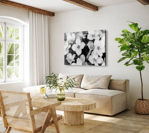 Paul Sinus Art 120x80cm Wandbild auf Leinwand Schwarz Weiß Fotografie Blumen weiße Blüten Begrenztes Angebot