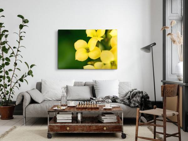 Paul Sinus Art 120x80cm Wandbild auf Leinwand Gelbe Blumen Blüten Grün Natur Fotokunst Online Shopping