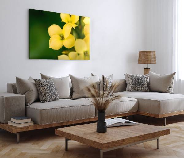 Paul Sinus Art 120x80cm Wandbild auf Leinwand Gelbe Blumen Blüten Grün Natur Fotokunst Online Shopping