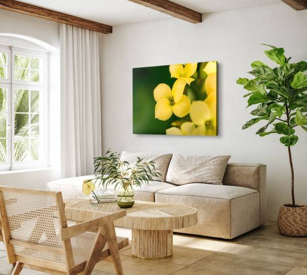 Paul Sinus Art 120x80cm Wandbild auf Leinwand Gelbe Blumen Blüten Grün Natur Fotokunst Online Shopping