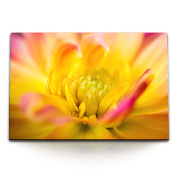 Paul Sinus Art 120x80cm Wandbild auf Leinwand Makrofotografie Blume Blüte Gelb Orange