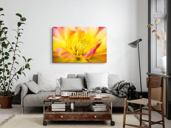 Paul Sinus Art 120x80cm Wandbild auf Leinwand Makrofotografie Blume Blüte Gelb Orange Exklusivangebot