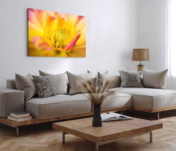 Paul Sinus Art 120x80cm Wandbild auf Leinwand Makrofotografie Blume Blüte Gelb Orange Exklusivangebot