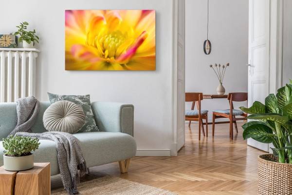 Paul Sinus Art 120x80cm Wandbild auf Leinwand Makrofotografie Blume Blüte Gelb Orange Exklusivangebot