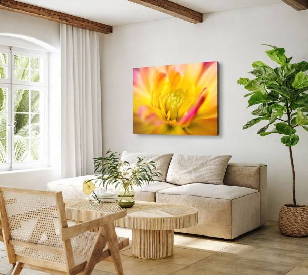 Paul Sinus Art 120x80cm Wandbild auf Leinwand Makrofotografie Blume Blüte Gelb Orange Exklusivangebot