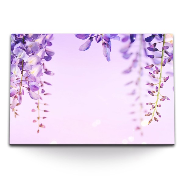 Paul Sinus Art 120x80cm Wandbild auf Leinwand Violette Blumen Blüten Fotokunst Natur Frühling