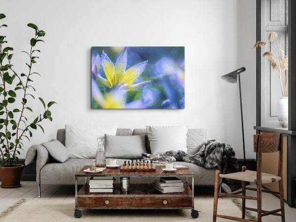 Paul Sinus Art 120x80cm Wandbild auf Leinwand Blume Blüte Fotokunst Nahaufnahme Regentropfen Blau Saisonschlussverkauf