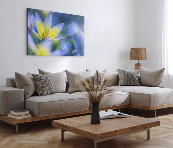 Paul Sinus Art 120x80cm Wandbild auf Leinwand Blume Blüte Fotokunst Nahaufnahme Regentropfen Blau Saisonschlussverkauf