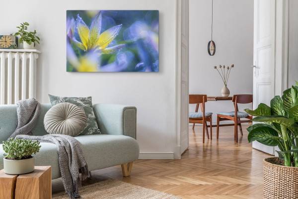 Paul Sinus Art 120x80cm Wandbild auf Leinwand Blume Blüte Fotokunst Nahaufnahme Regentropfen Blau Saisonschlussverkauf