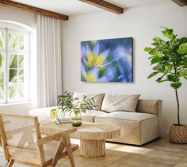 Paul Sinus Art 120x80cm Wandbild auf Leinwand Blume Blüte Fotokunst Nahaufnahme Regentropfen Blau Saisonschlussverkauf