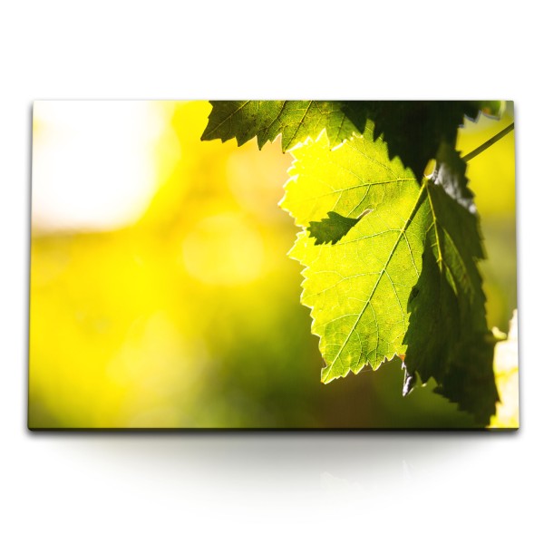 Paul Sinus Art 120x80cm Wandbild auf Leinwand Baumblätter Grün Sonnenschein Natur Sonnenstrahl