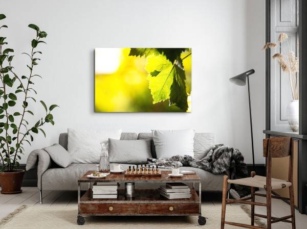 Paul Sinus Art 120x80cm Wandbild auf Leinwand Baumblätter Grün Sonnenschein Natur Sonnenstrahl Black Friday
