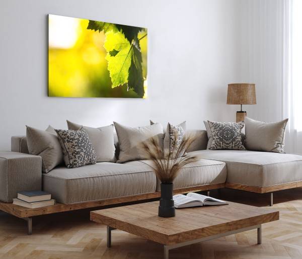 Paul Sinus Art 120x80cm Wandbild auf Leinwand Baumblätter Grün Sonnenschein Natur Sonnenstrahl Black Friday