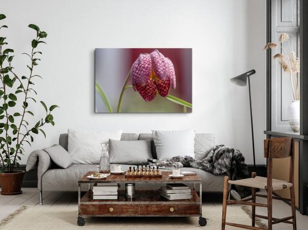 Paul Sinus Art 120x80cm Wandbild auf Leinwand Blume Lilie Rosa Natur Nahaufnahme Kunstvoll Cyber Monday