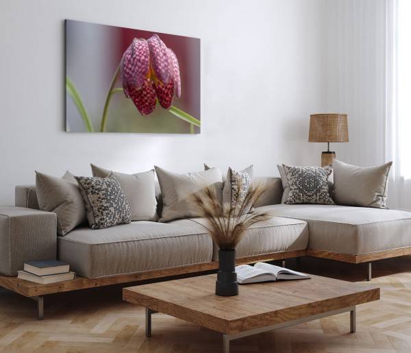 Paul Sinus Art 120x80cm Wandbild auf Leinwand Blume Lilie Rosa Natur Nahaufnahme Kunstvoll Cyber Monday