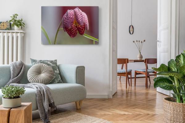 Paul Sinus Art 120x80cm Wandbild auf Leinwand Blume Lilie Rosa Natur Nahaufnahme Kunstvoll Cyber Monday
