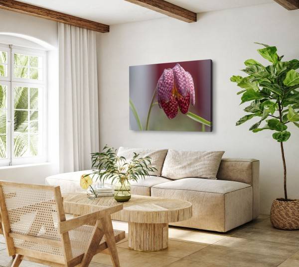 Paul Sinus Art 120x80cm Wandbild auf Leinwand Blume Lilie Rosa Natur Nahaufnahme Kunstvoll Cyber Monday