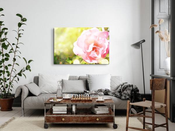 Paul Sinus Art 120x80cm Wandbild auf Leinwand Rosa Blume Sommer Natur Blüte Grün Sonnenschein Weihnachtsangebot
